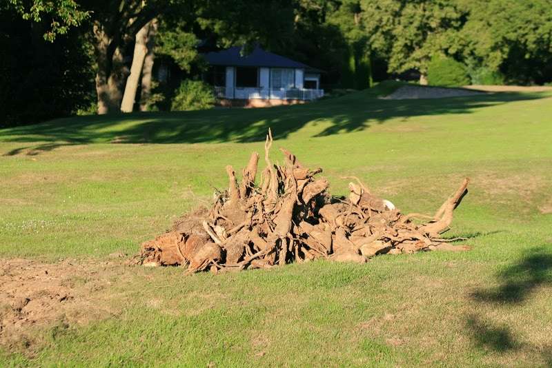 Coupe des arbres sur le parcours