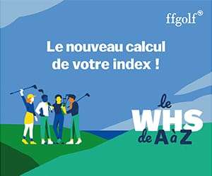 Le WHS n’a (presque) plus de secret !