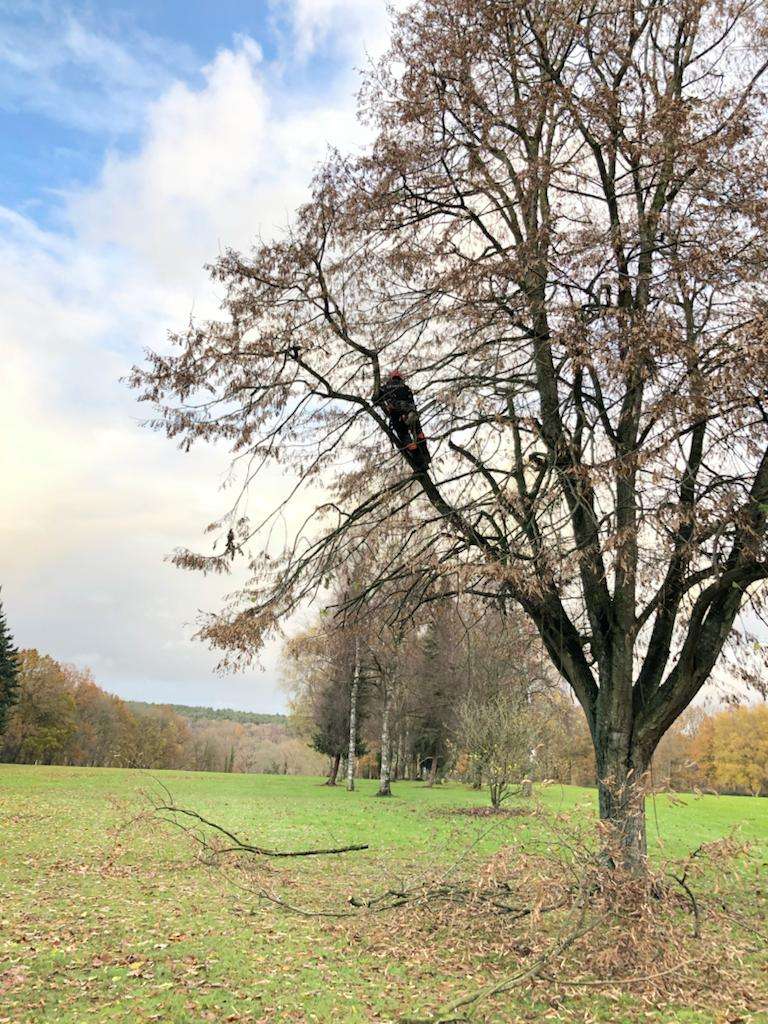 ÉLAGAGE CETTE SEMAINE