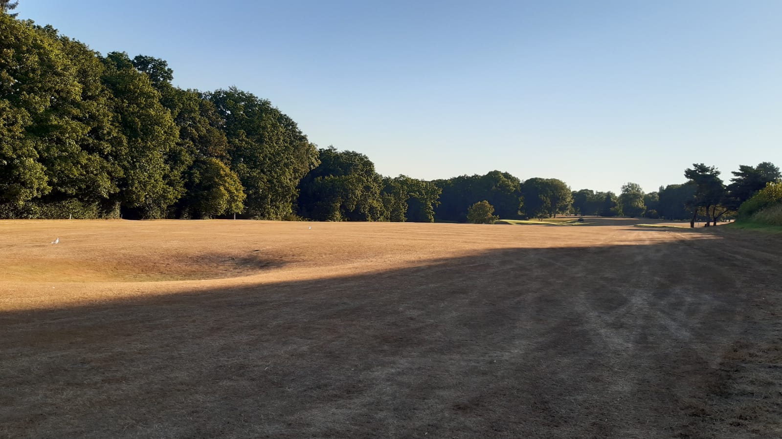 Sécheresse : usage de l’eau au golf de Rouen Mont-Saint-Aignan