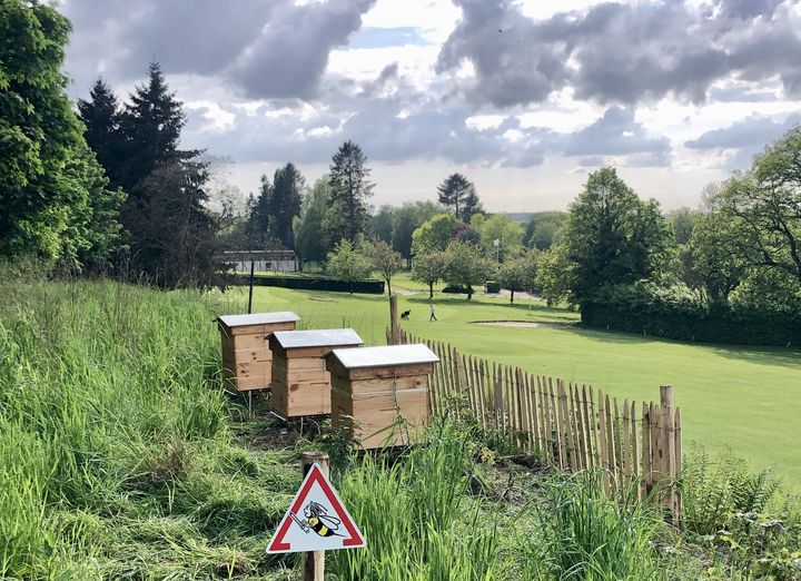 Golf et Biodiversité